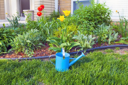 Professional landscaper designing a backyard