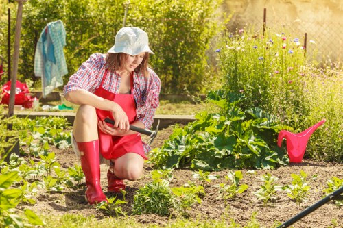 Eco-friendly irrigation system in a landscaped garden